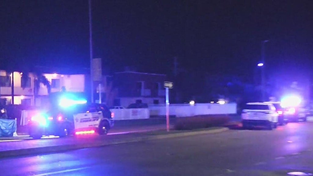 Woman accused of killing man in Dania Beach hit-and-run, BSO says — CBS Miami, Woodside Community news