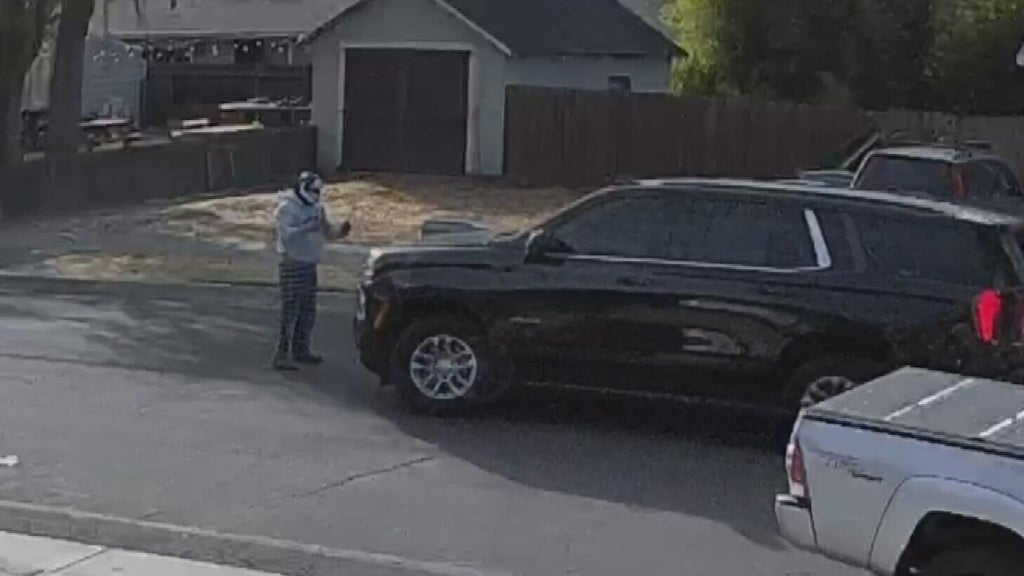 Woodland police dispute DHS account of ICE agent's collision with pedestrian — CBS Bay Area (KPIX), Woodside Health news