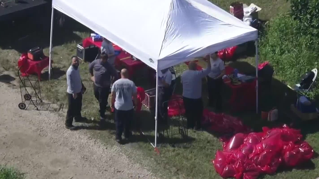 Family, friends of two men charged in Miami-Dade cockfighting case say allegations are false — CBS Miami, Woodside Real Estate news