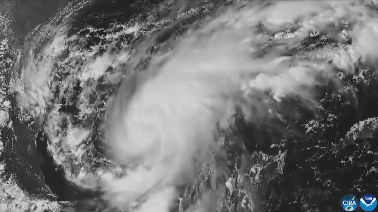 Hurricane Isaias: Residents board up windows and National Guard troops deploy as storm nears US Gulf Coast
— ABC 7 Bay Area, Woodside Sports news