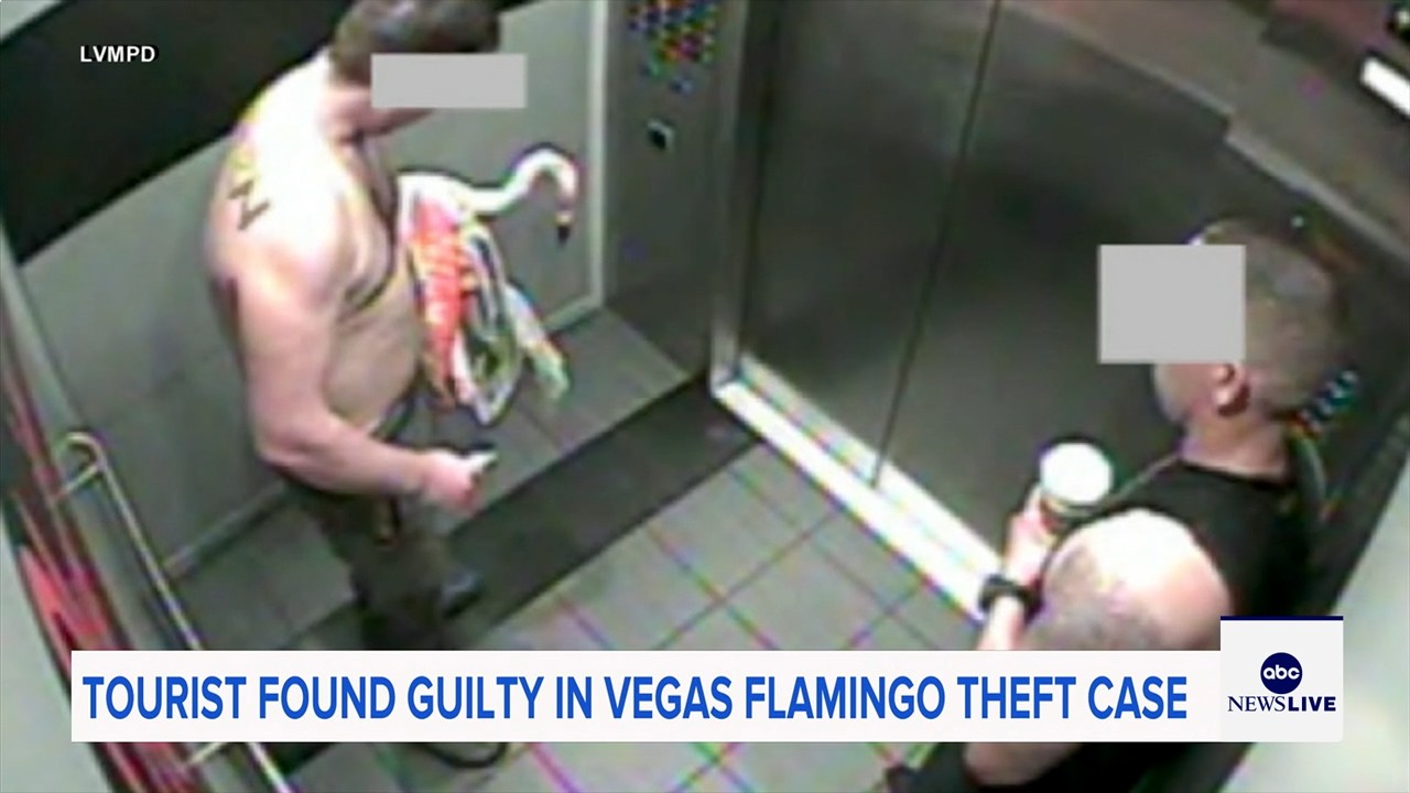 Man who snatched Peachy the flamingo from Las Vegas hotel exhibit found guilty of animal cruelty
— ABC 7 Bay Area, Woodside Arts news