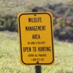 Pointers for Public Land Hunting — NewsDakota, Woodside Sports news