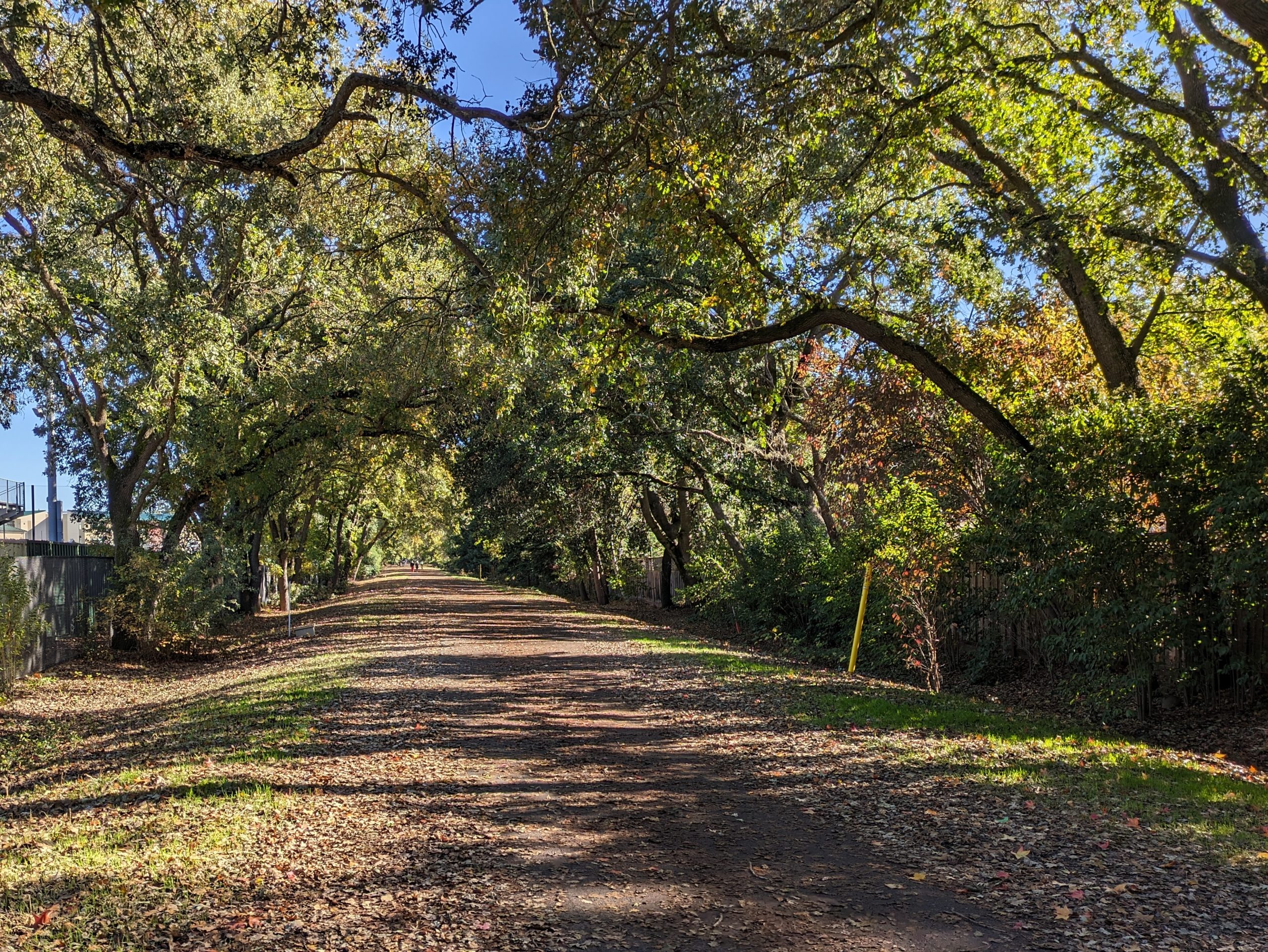 E-bikes have been allowed on East Bay trails for three years. How’s it going? — The Oaklandside