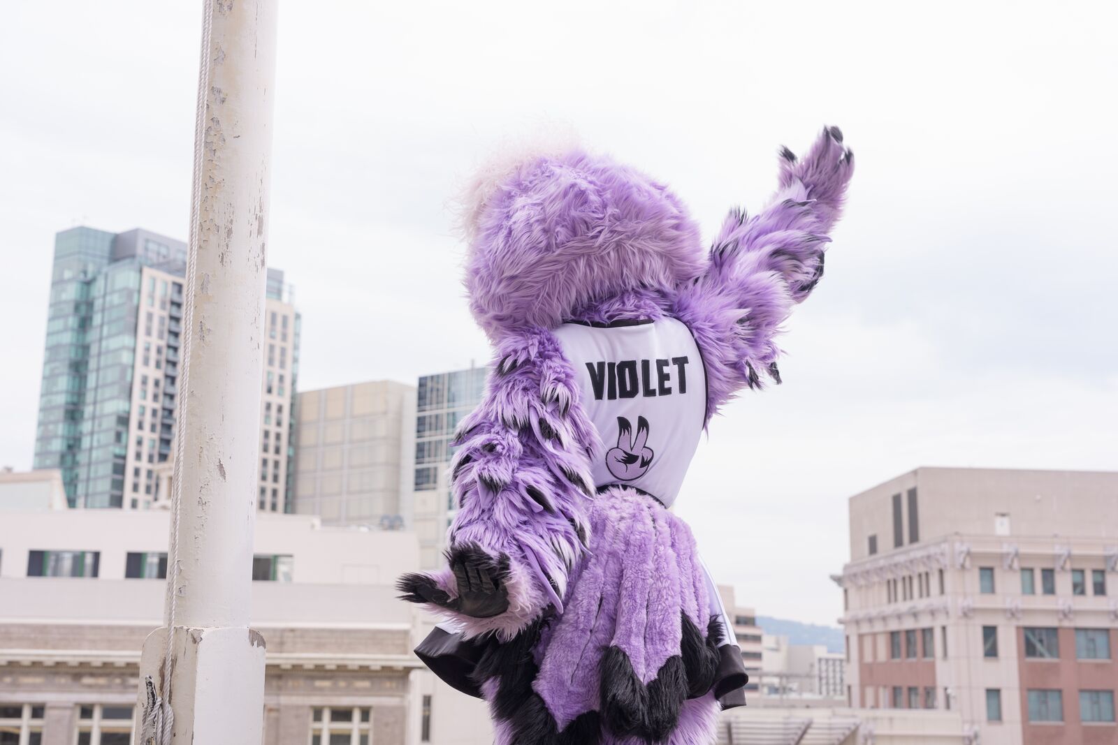 This week in Oakland: an outdoor Valkyries watch party, and singersongwriter Laura Anglade at Yoshi’s — The Oaklandside, Woodside Arts news