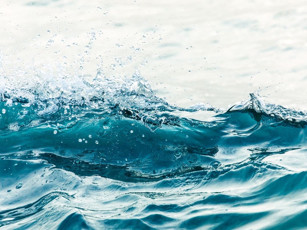 Deadly Hostage Standoff Details | Kelvin Wave Brings Record Sea Levels: Patch PM — San Francisco Patch, Woodside Community news