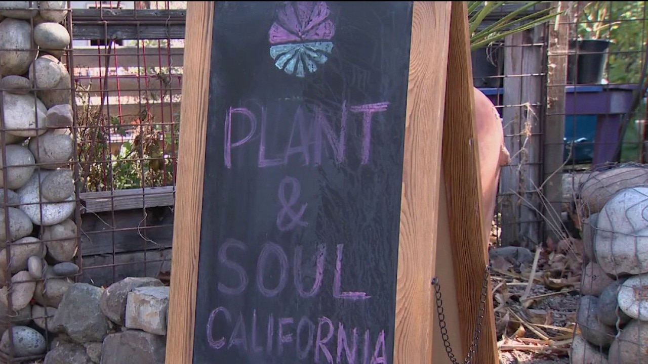 San Jose community garden faces possible eviction — KTVU FOX 2 Bay Area, Woodside Schools news