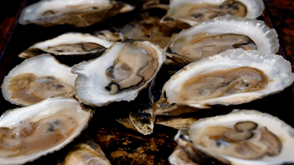 Sewage leak temporarily halts Tomales Bay oyster harvest — KTVU FOX 2 Bay Area, Woodside Business news