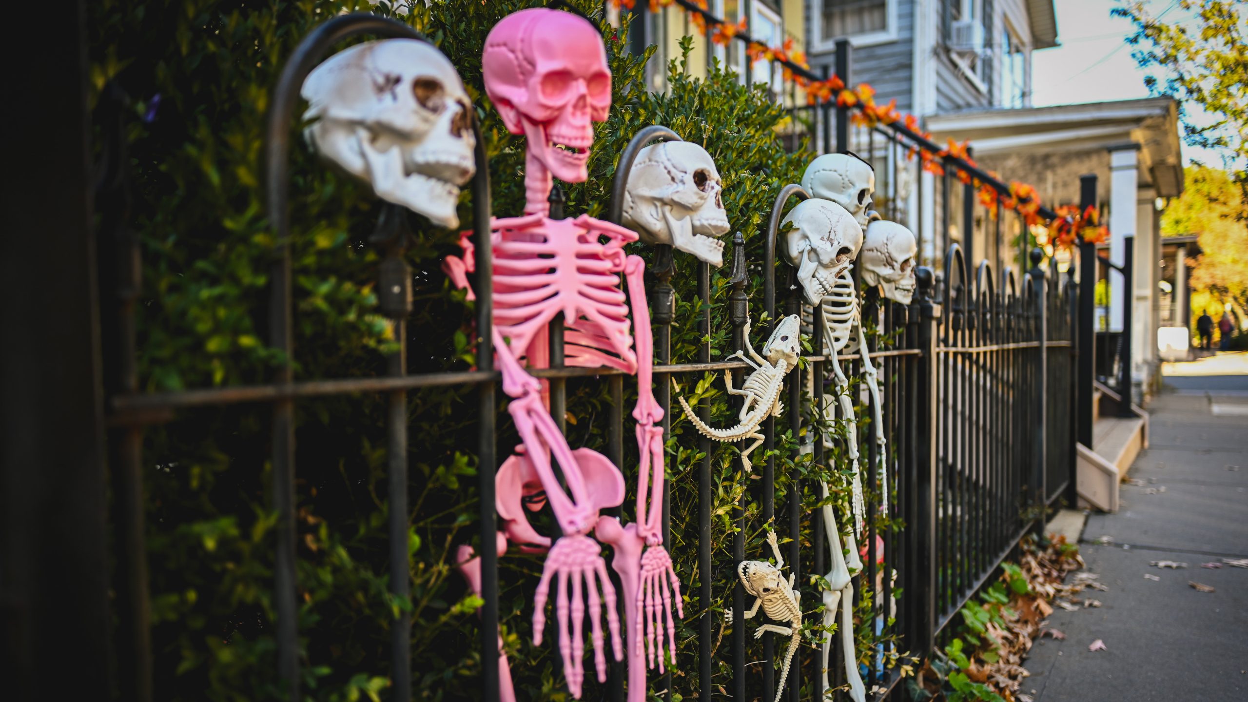America's best cities for Halloween, ranked — KTVU FOX 2 Bay Area, Woodside Community news